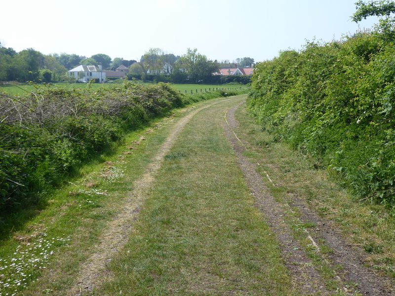 A grassy track of the Southern Upland Way approaching Cockburnspath between hedges and spring greenery.