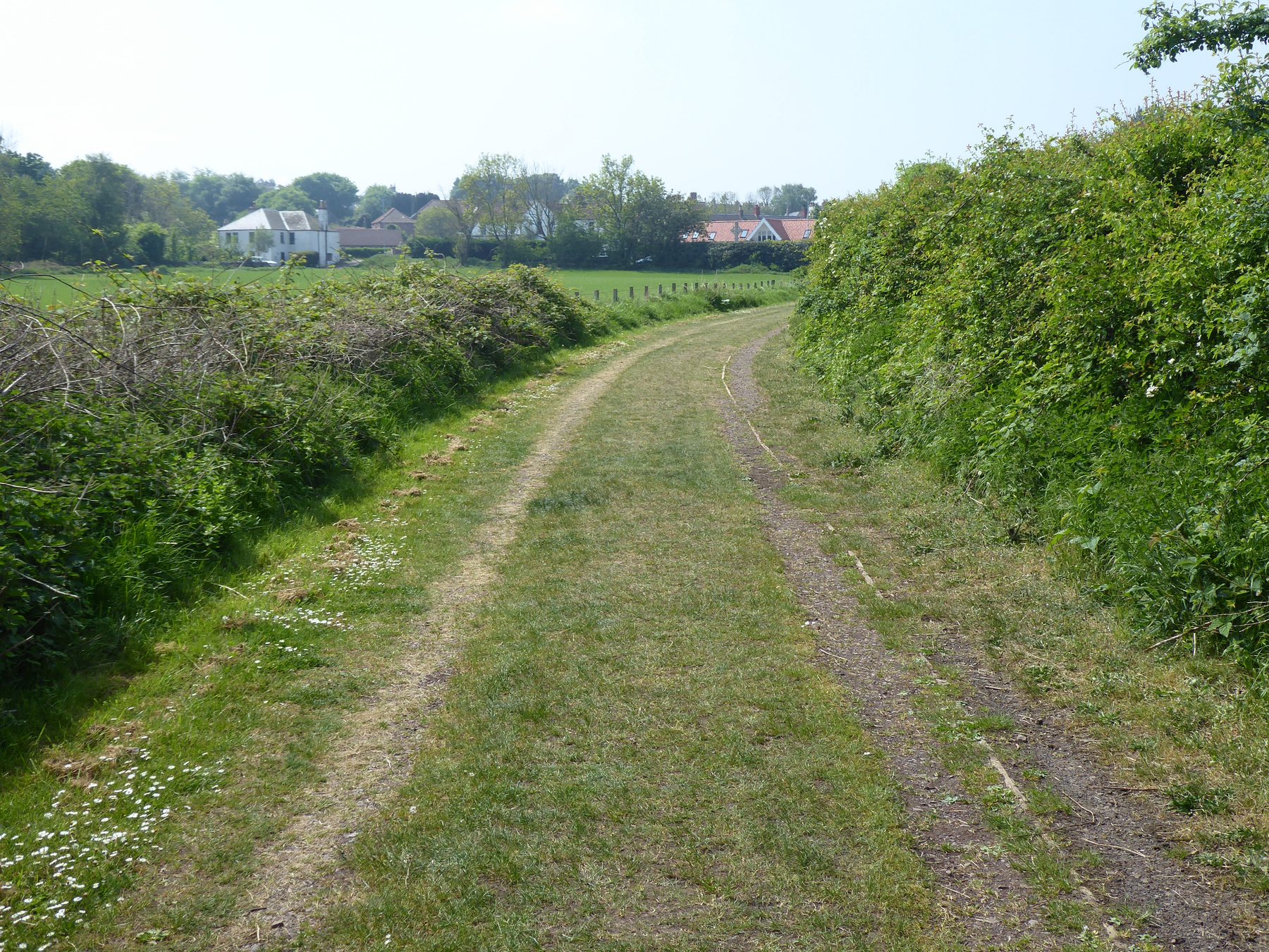 The Southern Upland Way approaching Cockburnspath.